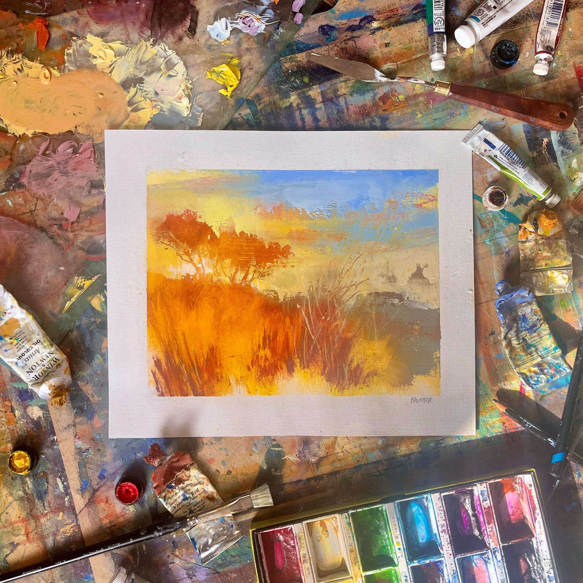 Windswept Tree Study No.2 - Oil On Paper