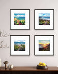 Sea Flower Collection - Set of 4 Mini Prints